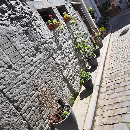 Bright In The Heart Of Chimay, 40 M² With View Апартаменты Шиме