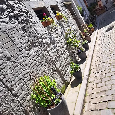 Bright In The Heart Of Chimay, 40 M² With View Шиме