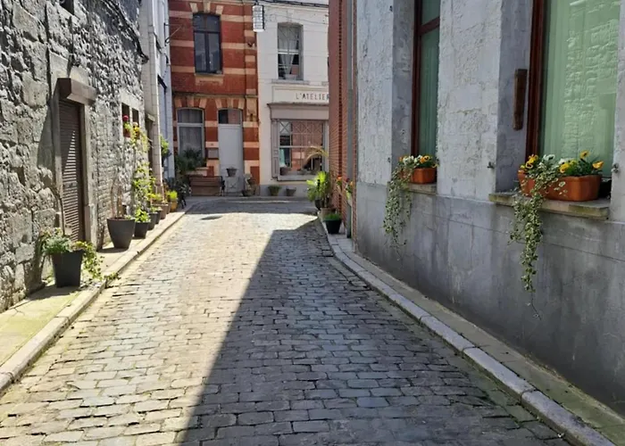 Bright Apartment In The Heart Of Chimay, 40 M² With View Apartamento *